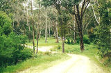 Picture relating to Mount Samaria State Park - titled 'Mount Samaria State Park: Samaria Well camp ground'