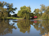 Picture of / about 'Castlemaine' Victoria - Castlemaine