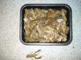 Picture relating to Credo - titled 'Credo'