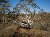 Picture relating to Newman - titled 'Newman ~ Fury Gorge'