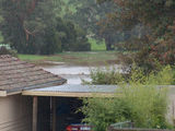 Picture relating to Tarwin River West Branch - titled 'Tarwin River West Branch'
