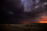 Picture relating to Barcaldine - titled 'Barcaldine'