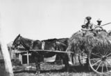 Picture relating to Biarra - titled 'Two men and a child sitting on a hay cart at Biarra, ca. 1925'