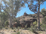 Picture relating to Parachilna Gorge - titled 'Parachilna Gorge'