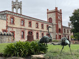 Picture relating to Angaston - titled 'Angaston'