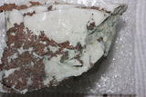 Picture relating to Woodlawn Mine - titled 'Woodlawn Mine'