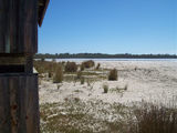 Picture relating to Lake Pollard - titled 'Lake Pollard'