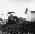 Picture relating to Rosebery - titled 'Rosebery'