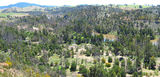 Picture relating to Molonglo River - titled 'Where the Molonglo River joins the Murrumbidgee River'