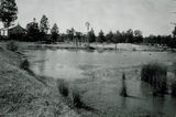Picture relating to Braemar State Forest - titled 'Braemar State Forest'