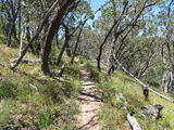 Picture relating to Spring Gully Conservation Park - titled 'Spring Gully Conservation Park'
