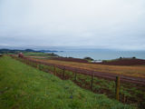 Picture relating to Boat Harbour - titled 'Boat Harbour'