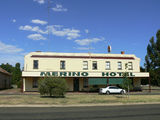 Picture relating to Merino - titled 'Merino'