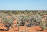 Picture relating to South Pinnacle - titled 'The three Pinnacles'