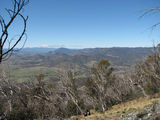 Picture relating to Tidbinbilla Range - titled 'Tidbinbilla Valley'