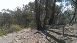 Picture relating to Ellerslie Nature Reserve - titled 'Ellerslie Nature Reserve'