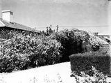 Picture relating to Forrest - titled 'Picturesque driveway entrance to 72, 74 Franklin Street, Forrest.'
