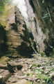 Picture relating to Carnarvon Gorge - titled 'Carnarvon Gorge'