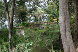 Picture relating to Lake Avon - titled 'Lake Avon gardens'