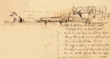 Picture of / about 'Mackay' Queensland - Stalking a crocodile near The Hollow
