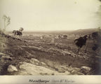 Picture relating to Stanthorpe - titled 'Township of Stanthorpe looking from Mount Marloe'