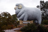 Picture relating to Chichester Range - titled 'Giant Ram Statue in Wagin: Symbol  of a farming town'
