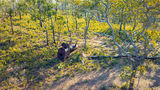 Picture of / about 'Hang Gong Landing Mine' the Northern Territory - Hang Gong Landing Mine