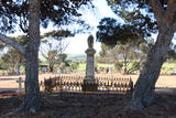 Picture relating to Callington - titled 'Callington SA 5254'