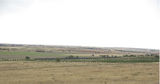 Picture relating to Huddleston - titled 'Huddleston'