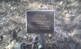 Picture relating to Durikai State Forest - titled 'Durikai State Forest Dan Brays Grave, Twins Sisters Gold mine.'