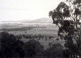 Picture relating to Ainslie - titled 'View from Red Hill towards Mt Ainslie'