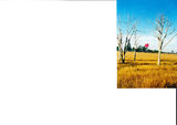 Picture relating to Queensland - titled 'Kingaroy'