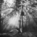 Picture relating to Mount Tamborine - titled 'Mount Tamborine'