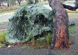Picture relating to Mount Yarrowyck - titled 'Mount Yarrowyck'