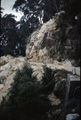 Picture relating to Robertson - titled 'Robertson'