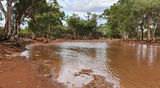 Picture relating to Erengunda Creek - titled 'Erengunda Creek'