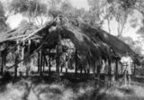 Picture relating to Flinders River - titled 'Early construction of a settler's cottage at Flinders River in central Queensland, ca. 1945'