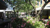 Picture relating to Launceston - titled 'Launceston'