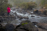 Picture relating to Collie River - titled 'Collie River'