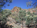 Picture relating to Mawson Plateau - titled 'Mawson Plateau'
