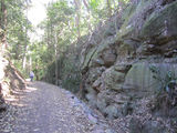 Picture relating to Buderim - titled 'Buderim-Palmwoods  Railway'