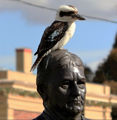 Kookaburra resting on Ray Warren statue Junee