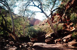 Picture relating to Kings Canyon - titled 'Kings Canyon'