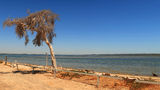 Herron Point WA