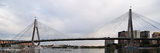 Picture relating to Sydney Harbour - titled 'Anzac Bridge with Eights. Sydney Harbour'