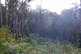 Picture relating to Fiery Range - titled 'Fiery Range'