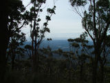 Picture relating to Mount Imlay - titled 'Mount Imlay Summit'