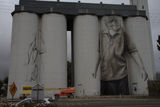 Picture of / about 'Coonalpyn' South Australia - Coonalpyn
