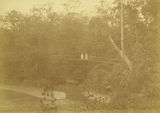 Picture relating to Indooroopilly - titled 'Witton Bridge, Indooroopilly, ca. 1890'