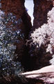 Picture relating to Northern Territory - titled 'Northern Territory - 1958'